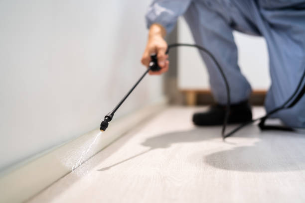 Professional exterminator conducting IPM assessment in Center Line