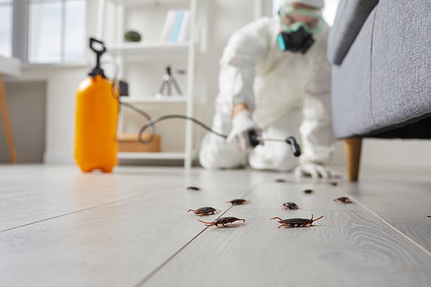 Post-Treatment Bed Bug Interceptor Monitoring in Center Line