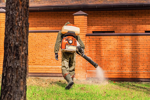 Bed Bug Clearance Verification and Documentation in Center Line